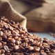 قهوه عربیکا